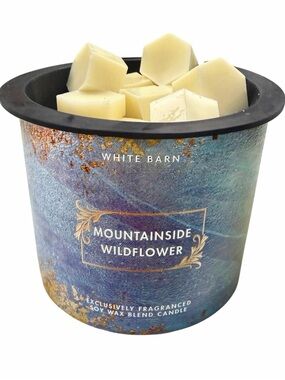 Wax Melts 4oz - Bath and Body Works - Mountainside Wildflower